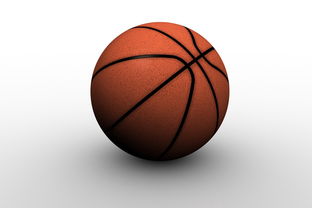 爱游戏中国官方网站平台-中国篮球职业俱乐部青训人才培养路径探索，篮球青训队招聘条件