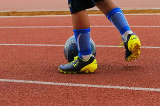 爱游戏娱乐平台-未来潜力：年轻球员的崛起路径，年轻球员是中国足球未来发展的基础