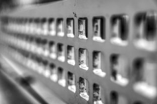 -高校运动训练科学管理模式创新实践，运动训练科研管理工作要求