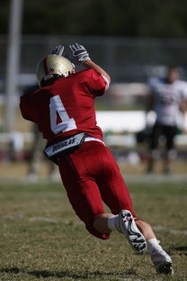 爱游戏体育(AYX)官方APP下载-全国青少年跳水大赛首次启用AI裁判辅助,青少年跳水比赛视频