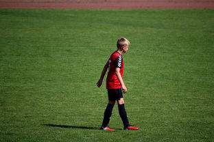 爱游戏娱乐网址-未来足球场馆将融合智能照明和环境监测系统，绿色科技引领行业