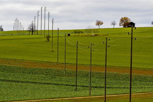爱游戏中国官方登录入口网站-球员体能负荷评估工具上线助力教练科学制定训练计划，体育负荷强度